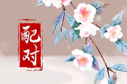 雞狗結婚|雞和狗的屬相合不合，適合做夫妻嗎？